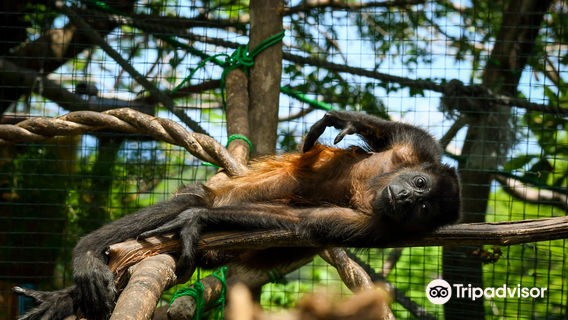 Sibu Wildlife Sanctuary