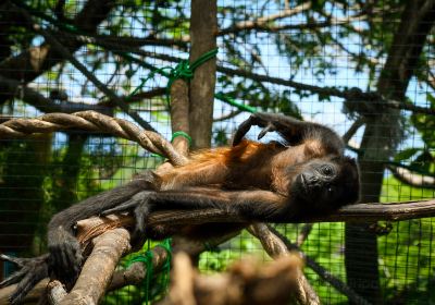 Nosara Wildlife Sanctuary at Sibu