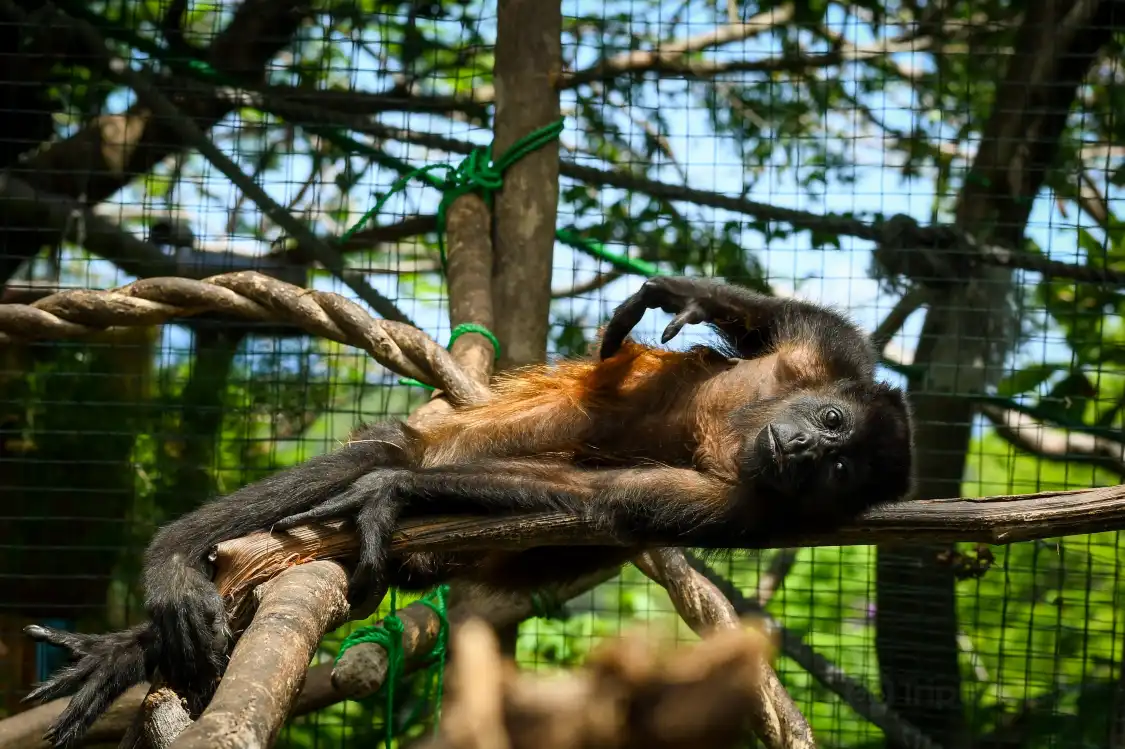 Hotels near Sibu Wildlife Sanctuary