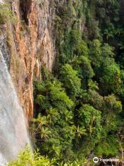 Purling Brook Falls, Springbrook National Park