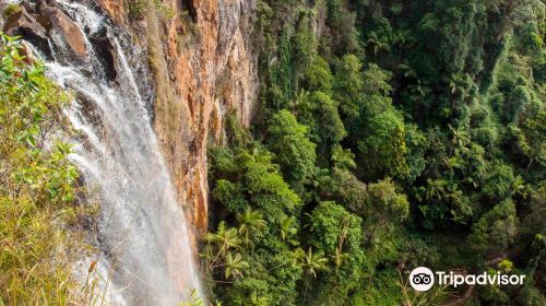 Purling Brook Falls, Springbrook National Park