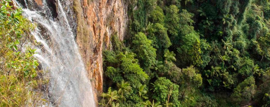 Purling Brook Falls, Springbrook National Park