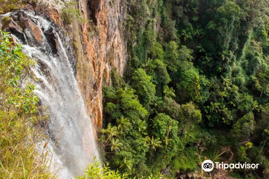 Purling Brook Falls, Springbrook National Park