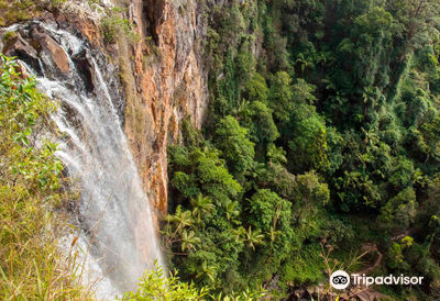 Purling Brook Falls, Springbrook National Park