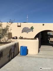 Desert Discovery Center