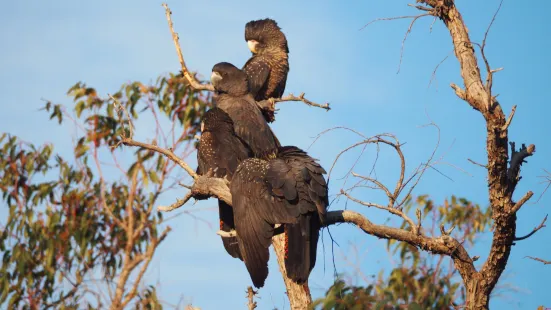 Gooseberry Hill National Park