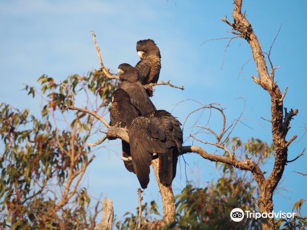 Gooseberry Hill National Park
