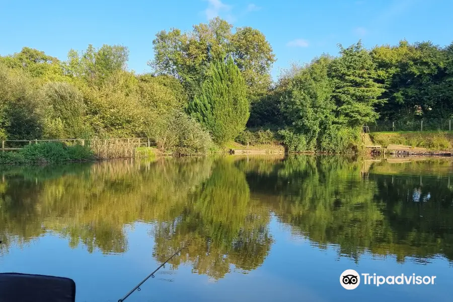 Luccombes Coarse Fishery