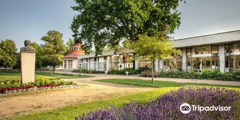 Galerie Ludvika Kuby