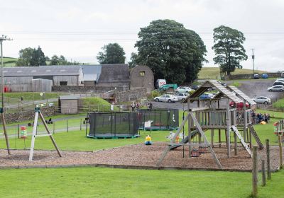 Lakeland Maze Farm Park