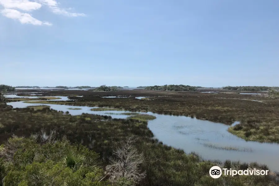 Withlacoochee Gulf Preserve