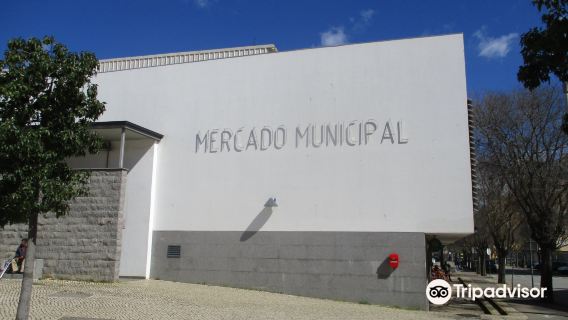 Portimão market