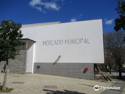 Portimão market