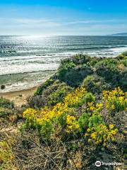 Jalama Beach County Park