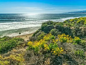 Jalama Beach County Park