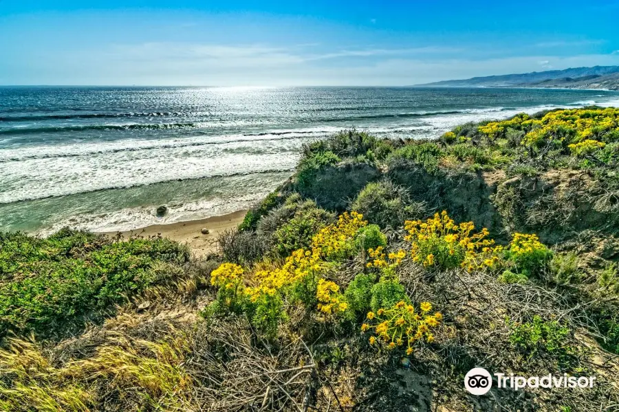 Jalama Beach County Park