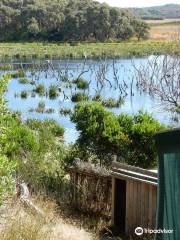 Baxters Wetland Bird Hide