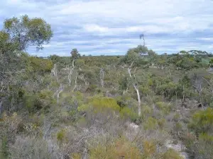 Kelvin Powrie Conservation Park