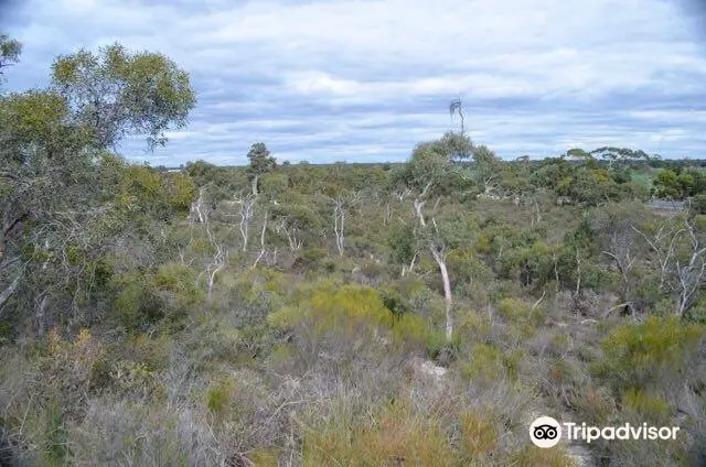 Kelvin Powrie Conservation Park