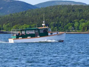 Sail Acadia