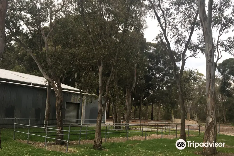 Greaves Reserve Public Toilets