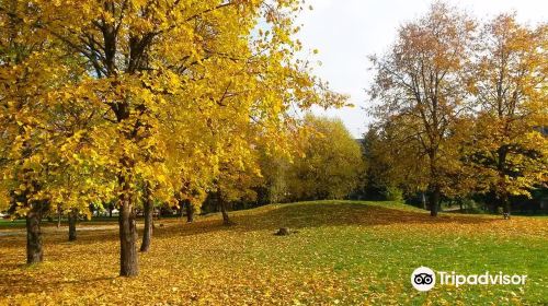 Park Orekhovaya Roshha