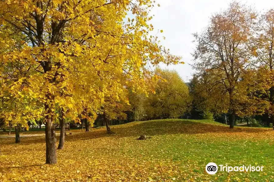 Park Orekhovaya Roshha