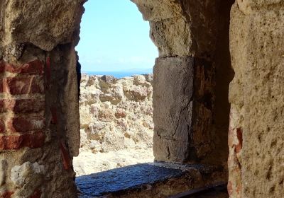 Museo dell'Intreccio Mediterraneo