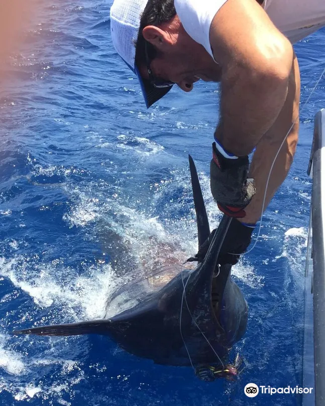 5_CAVALIER & BLUE MARLIN FISHING CHARTERS