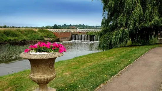 Victoria Pleasure Gardens