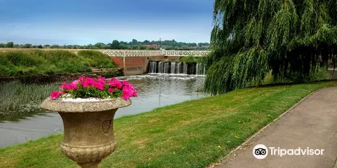 Victoria Pleasure Gardens