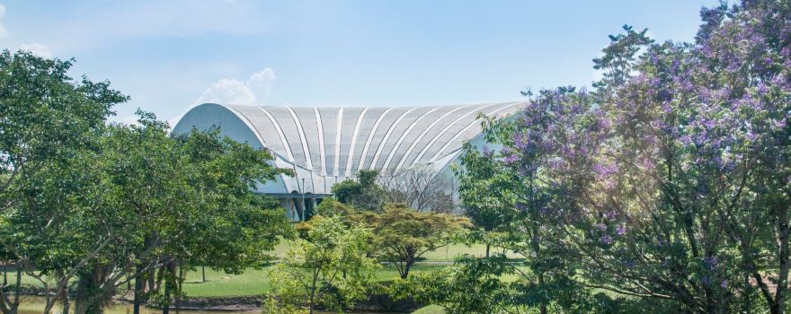 Estancia Arvore da Vida