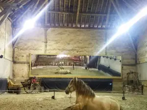 Haras national de Pompadour - entrée piétons