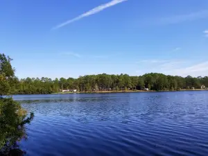 Laura S. Walker State Park