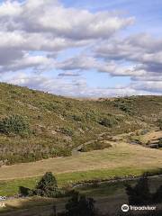 Parque Natural Hayedo de Tejera Negra