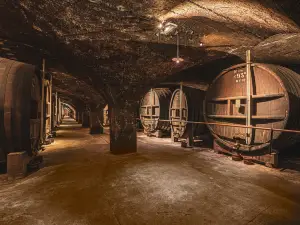 Boutique la Chartreuse