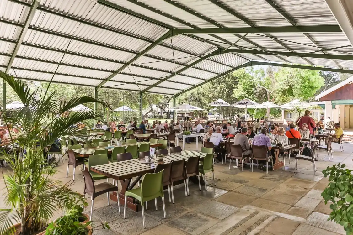 Hotels near Safari Ostrich Farm