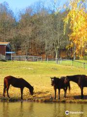 Catskill Animal Sanctuary