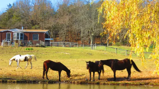 Catskill Animal Sanctuary