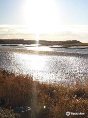 Truro Tidal Bore Viewing Visitor Centre