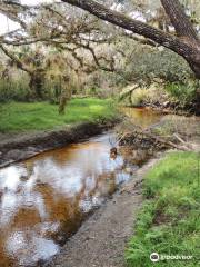 Myakkahatchee Creek Environmental Park