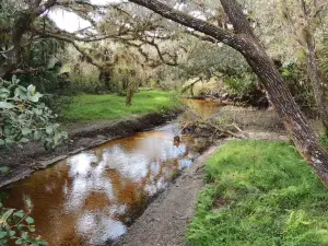 Myakkahatchee Creek Environmental Park