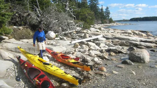 Midcoast Kayak