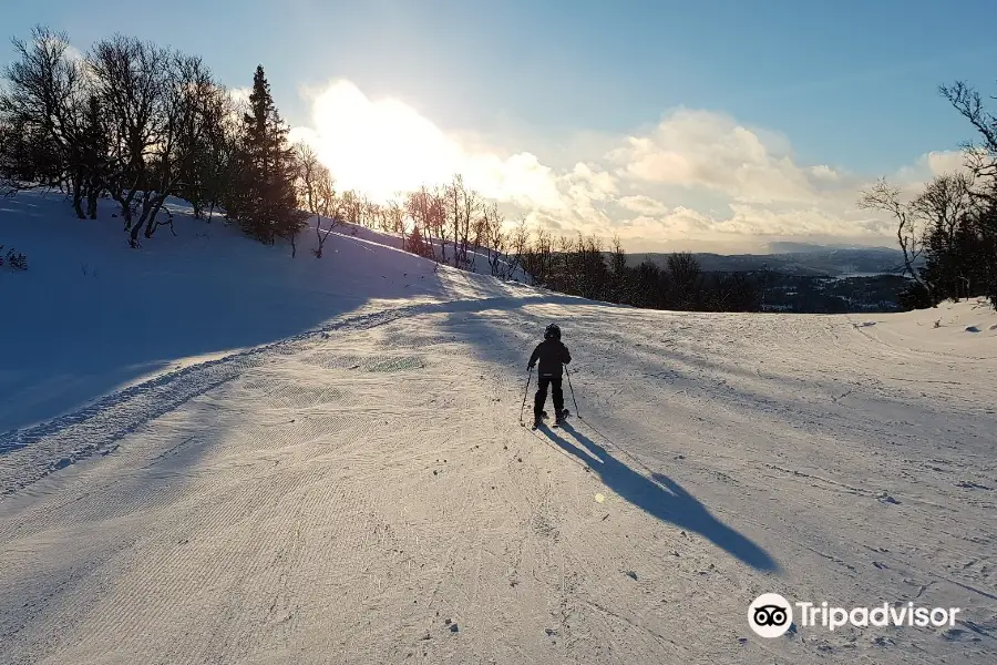 Rauland Skisenter