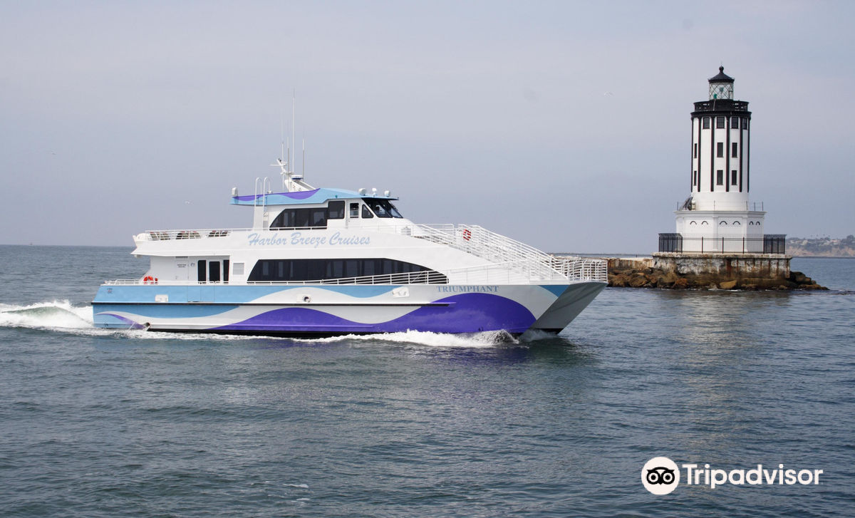 Harbor Breeze Whale Watching Cruises