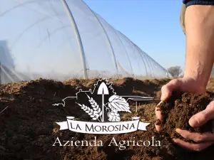 Azienda Agricola - Agribirrificio La Morosina