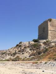 Torre San Carlo