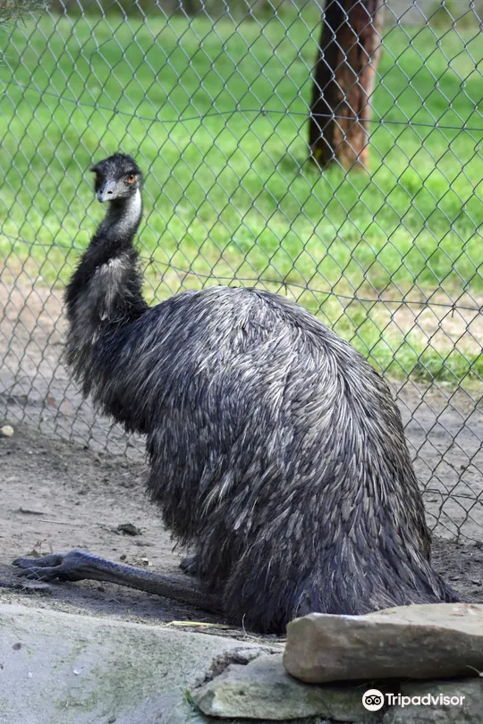 3_Wirrimbirra Sanctuary