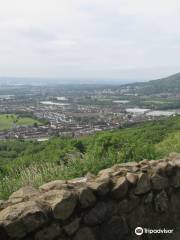 Carnmoney Hill Local Nature Reserve