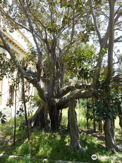 Villa Giuseppe Mazzini